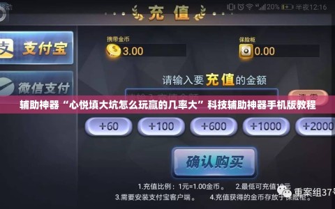 辅助神器“心悦填大坑怎么玩赢的几率大”科技辅助神器手机版教程