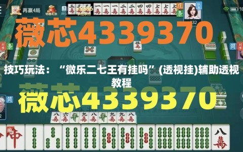 技巧玩法：“微乐二七王有挂吗”(透视挂)辅助透视教程