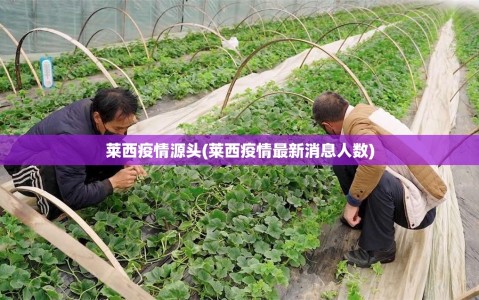 莱西疫情源头(莱西疫情最新消息人数)
