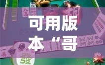 可用版本“哥哥杭州麻将是不是有挂”开挂详细安装教程