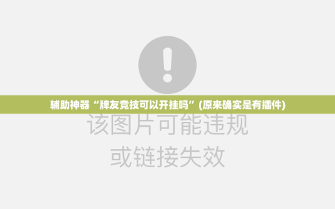 辅助神器“牌友竞技可以开挂吗”(原来确实是有插件)