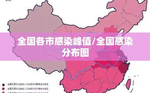 全国各市感染峰值/全国感染分布图