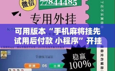 可用版本“手机麻将挂先试用后付款 小程序”开挂详细安装教程