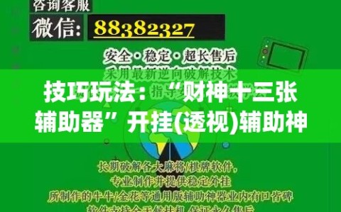 技巧玩法：“财神十三张辅助器”开挂(透视)辅助神器