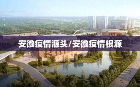 安徽疫情源头/安徽疫情根源