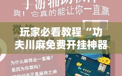 玩家必看教程“功夫川麻免费开挂神器”掌握辅助功能必胜规则