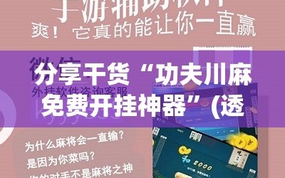 分享干货“功夫川麻免费开挂神器”(透视挂)辅助透视教程