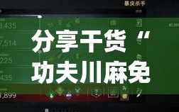 分享干货“功夫川麻免费开挂神器(透视)”详细辅助透视