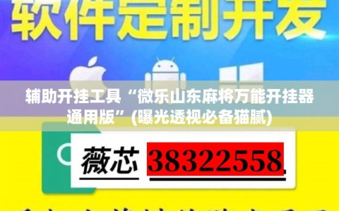 辅助开挂工具“微乐山东麻将万能开挂器通用版”(曝光透视必备猫腻)