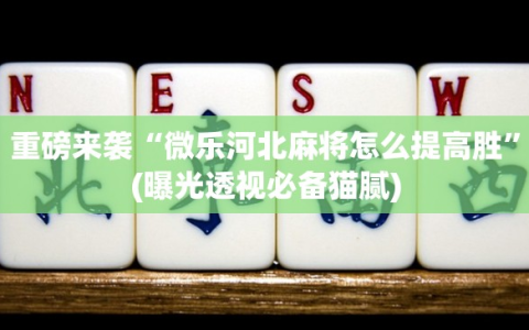 重磅来袭“微乐河北麻将怎么提高胜”(曝光透视必备猫腻)