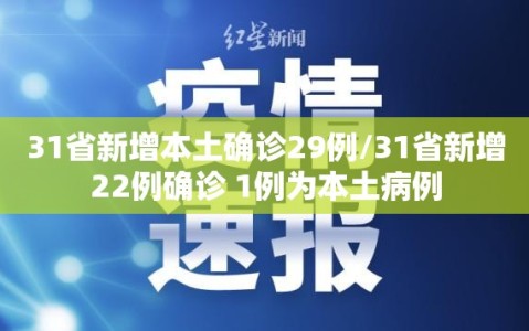 31省新增本土确诊29例/31省新增22例确诊 1例为本土病例