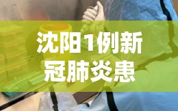沈阳1例新冠肺炎患者复阳/沈阳通报1例新冠病毒肺炎患者复阳
