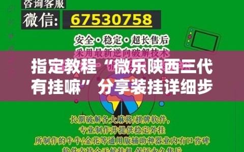 指定教程“微乐陕西三代有挂嘛”分享装挂详细步骤