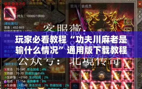玩家必看教程“功夫川麻老是输什么情况”通用版下载教程!