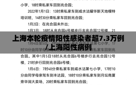 上海本轮疫情阳性感染者超7.3万例/上海阳性病例