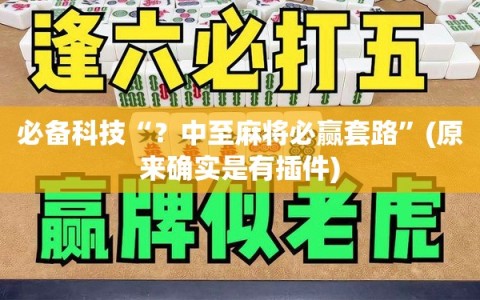 必备科技“？中至麻将必赢套路”(原来确实是有插件)