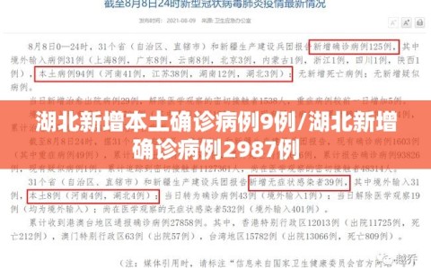 湖北新增本土确诊病例9例/湖北新增确诊病例2987例