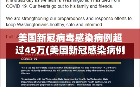 美国新冠病毒感染病例超过45万(美国新冠感染病例超过340万)
