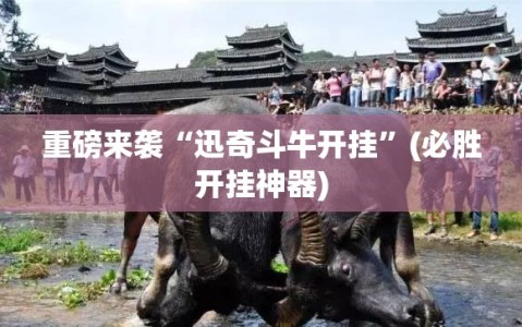 重磅来袭“迅奇斗牛开挂”(必胜开挂神器)