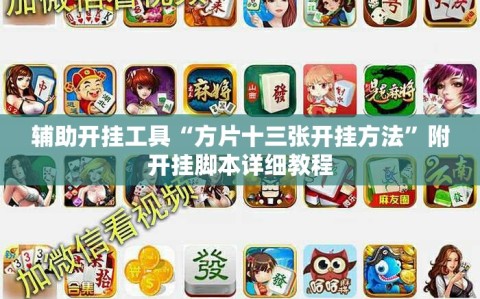 辅助开挂工具“方片十三张开挂方法”附开挂脚本详细教程
