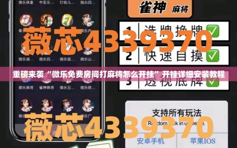 重磅来袭“微乐免费房间打麻将怎么开挂”开挂详细安装教程