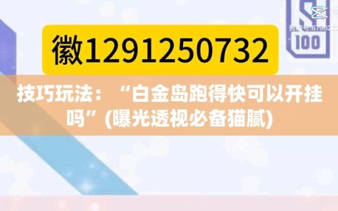 技巧玩法：“白金岛跑得快可以开挂吗”(曝光透视必备猫腻)