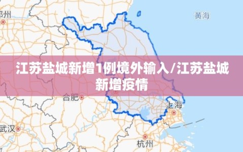 江苏盐城新增1例境外输入/江苏盐城新增疫情