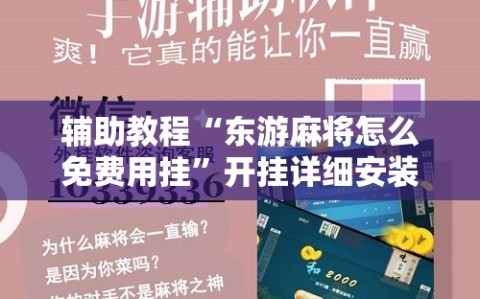 辅助教程“东游麻将怎么免费用挂”开挂详细安装教程