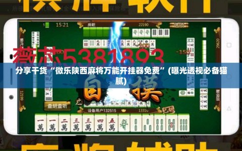 分享干货“微乐陕西麻将万能开挂器免费”(曝光透视必备猫腻)