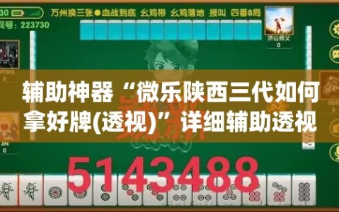 辅助神器“微乐陕西三代如何拿好牌(透视)”详细辅助透视