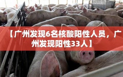 【广州发现6名核酸阳性人员，广州发现阳性33人】