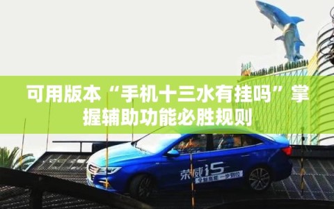 可用版本“手机十三水有挂吗”掌握辅助功能必胜规则