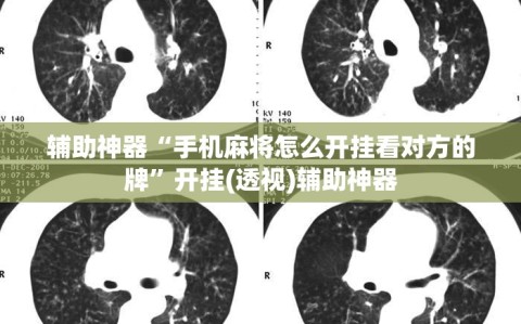 辅助神器“手机麻将怎么开挂看对方的牌”开挂(透视)辅助神器