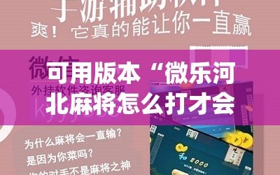 可用版本“微乐河北麻将怎么打才会赢”(原来确实是有插件)