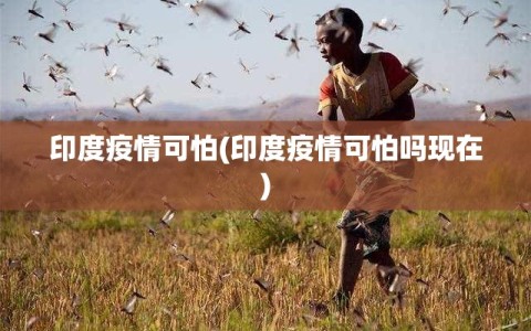 印度疫情可怕(印度疫情可怕吗现在)
