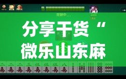 分享干货“微乐山东麻将开挂神器”(透视挂)辅助透视教程