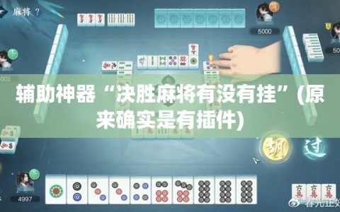 辅助神器“决胜麻将有没有挂”(原来确实是有插件)