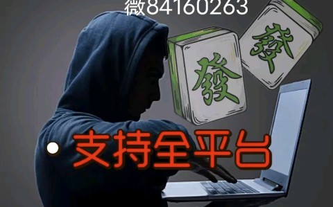 安装程序教程“功夫川麻有挂吗”(原来确实是有插件)