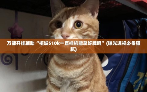 万能开挂辅助“榕城510k一直挂机能拿好牌吗”(曝光透视必备猫腻)
