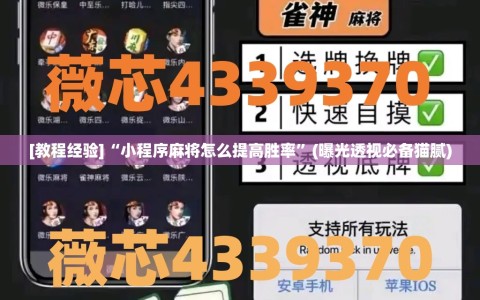 [教程经验]“小程序麻将怎么提高胜率”(曝光透视必备猫腻)