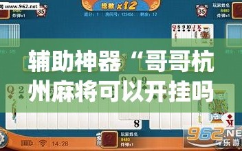 辅助神器“哥哥杭州麻将可以开挂吗”开挂(透视)辅助神器
