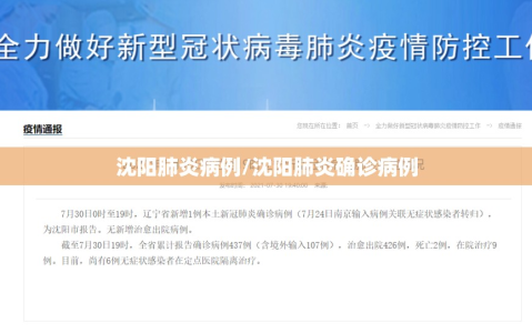 沈阳肺炎病例/沈阳肺炎确诊病例