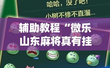 辅助教程“微乐山东麻将真有挂么”(透视挂)辅助透视教程