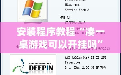 安装程序教程“凑一桌游戏可以开挂吗”(原来确实是有插件)