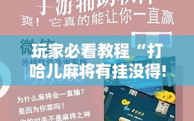 玩家必看教程“打哈儿麻将有挂没得!辅助神器插件下载