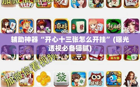 辅助神器“开心十三张怎么开挂”(曝光透视必备猫腻)