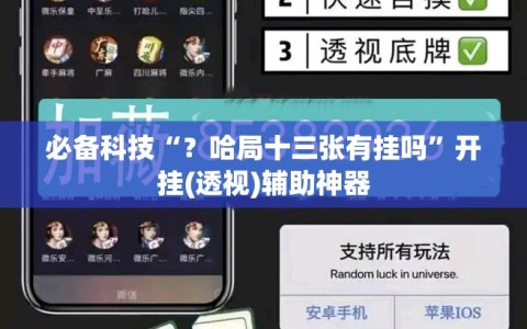 必备科技“？哈局十三张有挂吗”开挂(透视)辅助神器