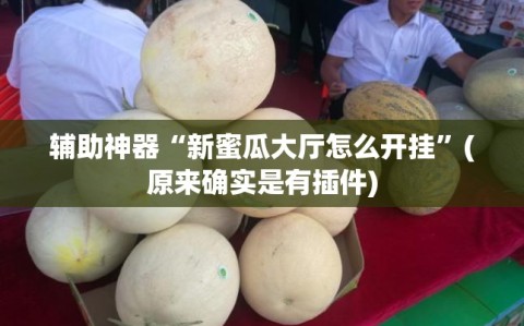 辅助神器“新蜜瓜大厅怎么开挂”(原来确实是有插件)