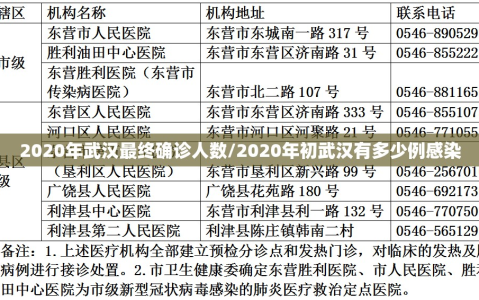 2020年武汉最终确诊人数/2020年初武汉有多少例感染