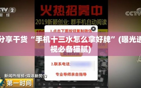 分享干货“手机十三水怎么拿好牌”(曝光透视必备猫腻)